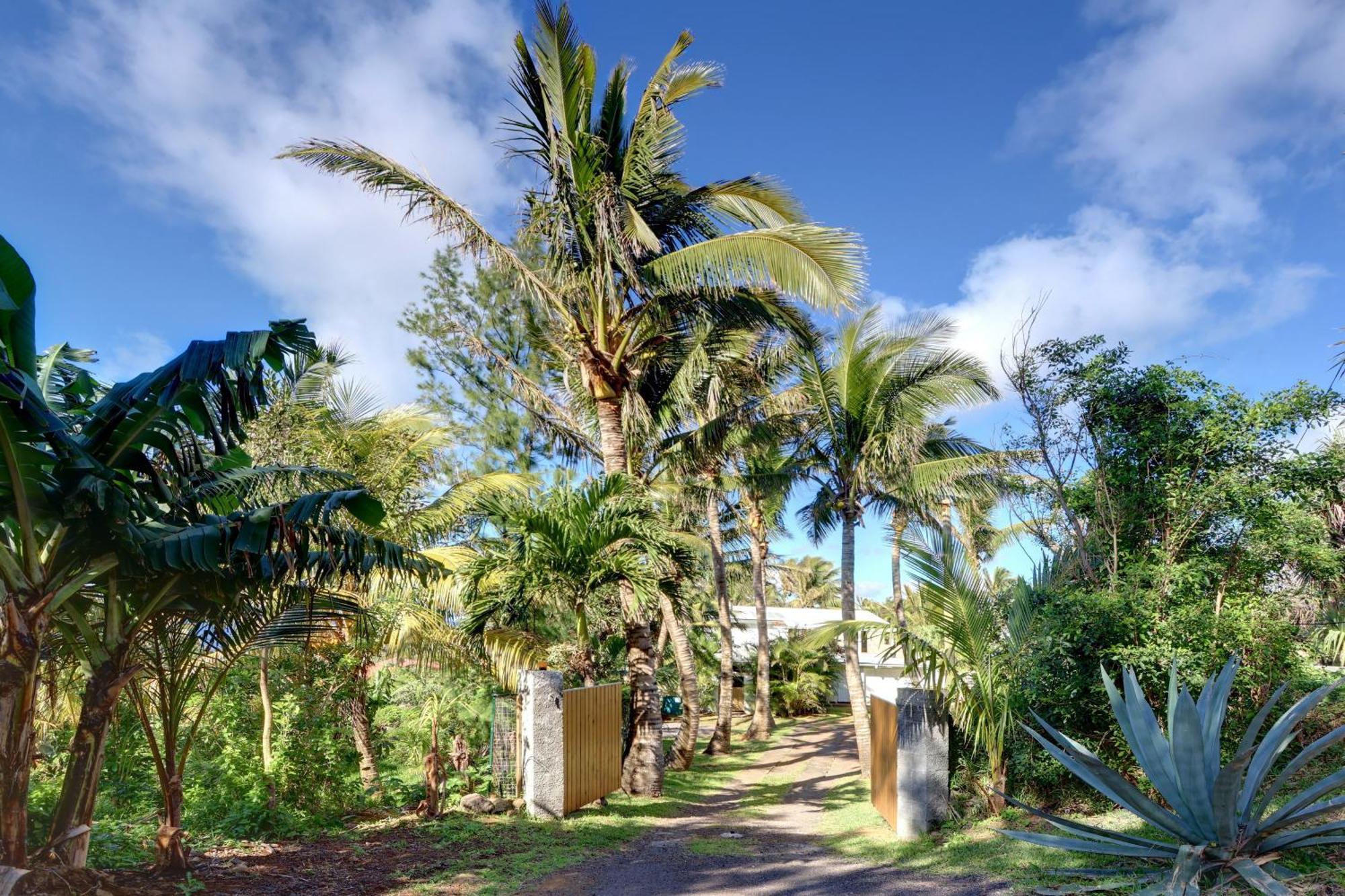 La Case Coco - Maison Climatisee A サン・ジョゼフ エクステリア 写真